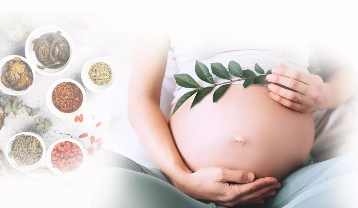Read more about the article Fertility Treatment for Women